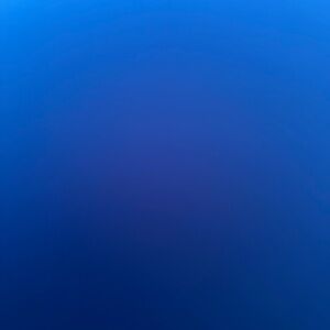 Meet your Posher, Shantel